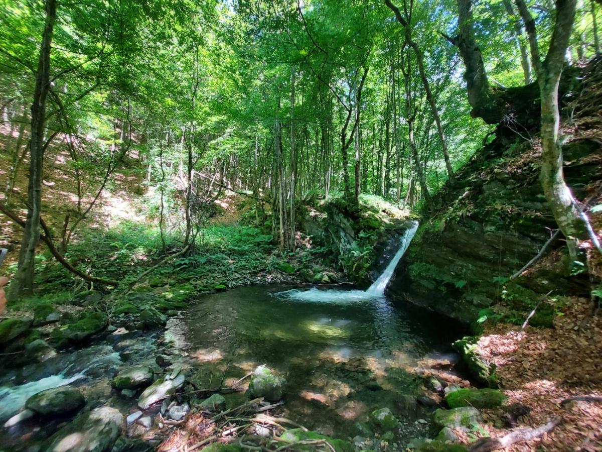 Haihui Pe Rusca Sebesu de Jos Exterior photo