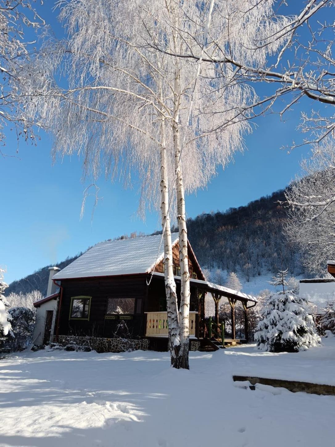 Haihui Pe Rusca Sebesu de Jos Exterior photo